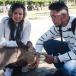Nara: Private Walking Tour from Osaka - The Charm of Nara Park and Deer Feeding