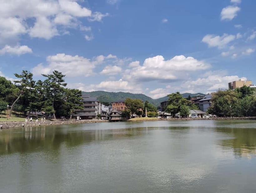 Nara: Sake Tasting Tour at the Birthplace of Japanese Sake - Final Thoughts