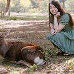 Nara Serenity: Memories Among Deer and Temples - The Sum Up