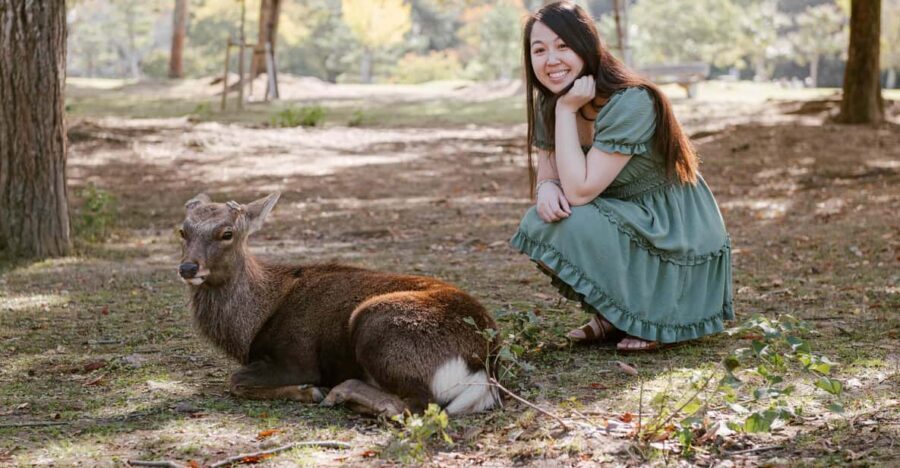 Nara Serenity: Memories Among Deer and Temples - The Sum Up  