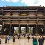 Nara: UNESCO Heritage Sites & Deer Park Tour with Pro guide - What To Expect: An Authentic Cultural Experience