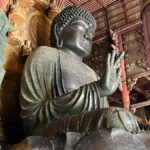 Nara Walking Tour for Small Groups: Temples and Deer - What You Should Know Before Joining