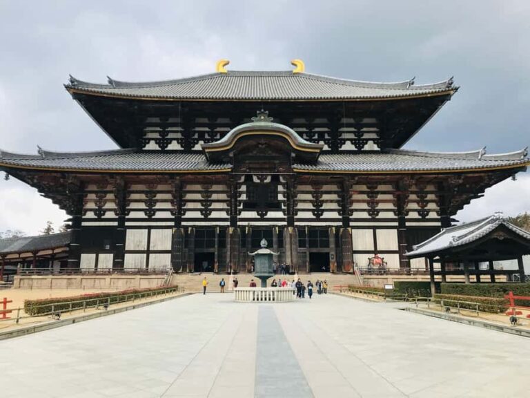 Nara Walking Tour for Small Groups: Temples and Deer - The Itinerary: Step-by-Step Highlights