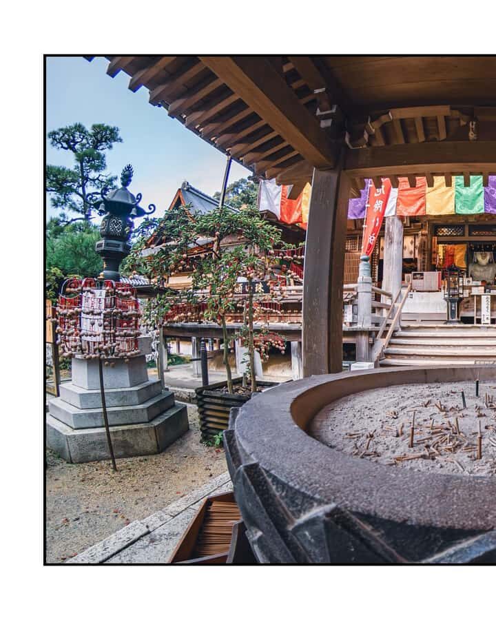Nara: Walking Tour with History, and spiritual stories - Practical Considerations