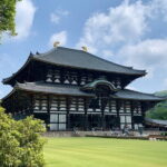 Nara With a Licensed Guide - Who This Tour Is Best For