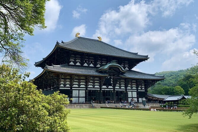 Nara With a Licensed Guide - Who This Tour Is Best For