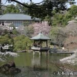 Narita: Naritasan Shinshoji Temple Layover Tour from Airport - Deep Dive into the Itinerary: What You Can Expect