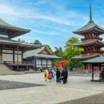 Narita-san Private Layover Tour from Narita International Airport - Who Is This Tour Best Suited For?