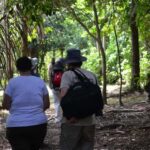 Nariva Swamp: Monkey Viewing Experience - Practical Details and What to Expect