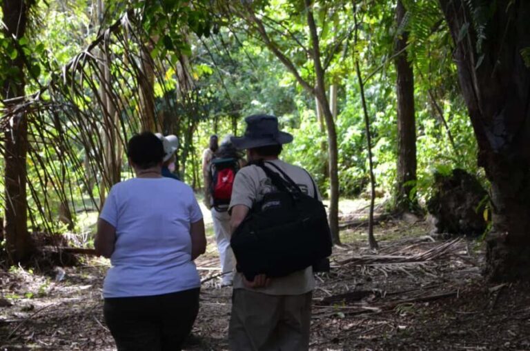 Nariva Swamp: Monkey Viewing Experience - Practical Details and What to Expect