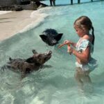 Nassau: 3 Islands Boat w/ Swimming Pigs, Snorkeling & Turtle - Practical Details and Tips