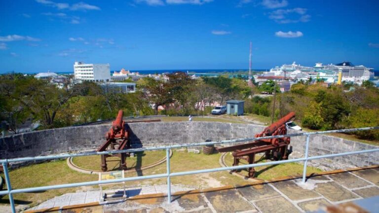 Nassau City Tour: Discover the Charms of Old Charles Town - Who Should Consider This Tour?