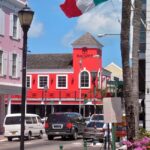 Nassau: Cultural Walking Tour of Downtown Nassau Attractions - Who Is This Tour Best For?