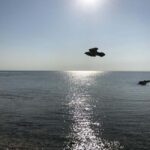 Nassau: Pearl Island Day Trip with Lunch and Snorkeling - Practical Details and What to Expect