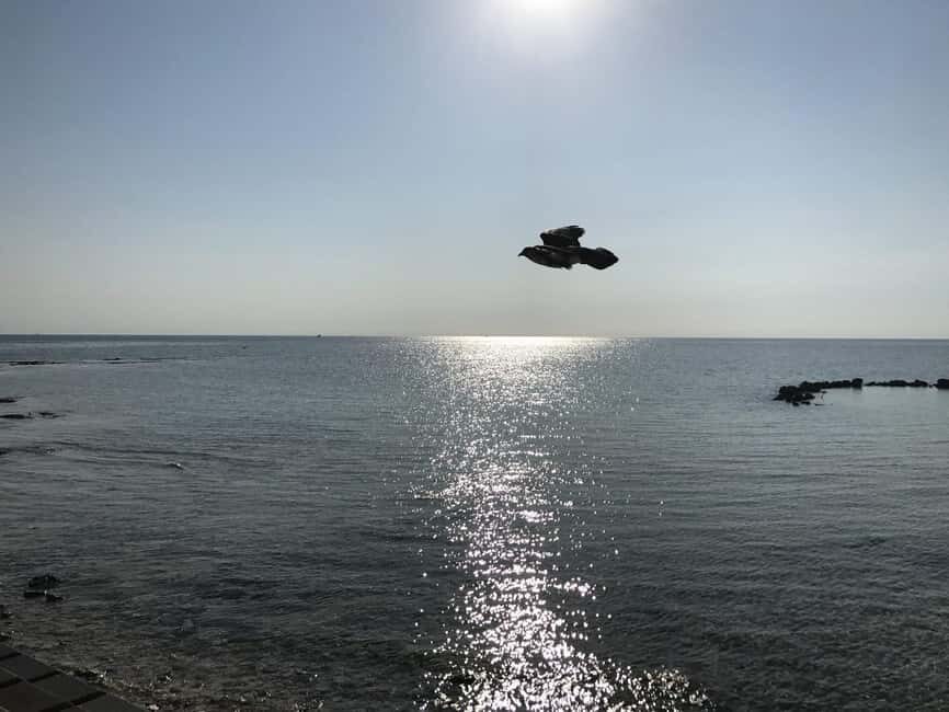 Nassau: Pearl Island Day Trip with Lunch and Snorkeling - Practical Details and What to Expect