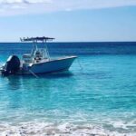 Nassau: Rose Island and Green Cay Private Snorkeling Tour - Why This Tour Offers Great Value
