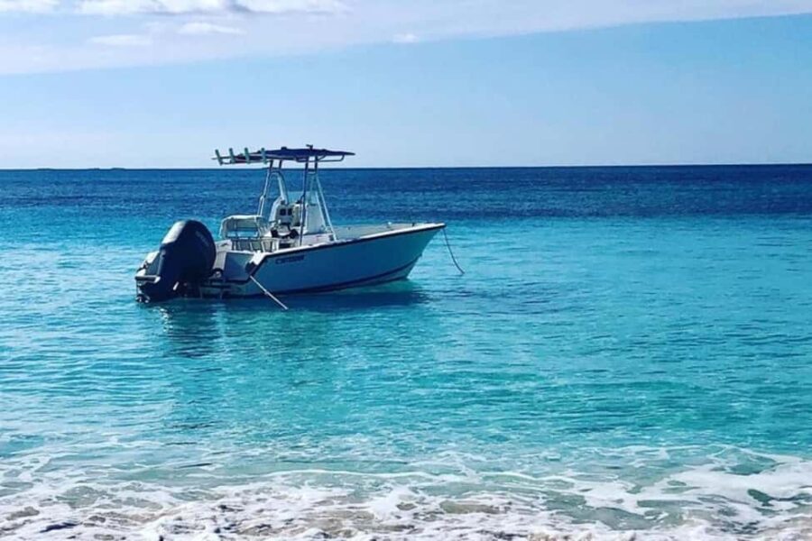 Nassau: Rose Island and Green Cay Private Snorkeling Tour - Why This Tour Offers Great Value