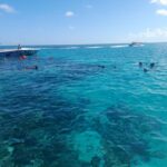 Nassau: Swimming Pigs Private Boat Tour - Up to 7 Persons - A Detailed Look at the Experience