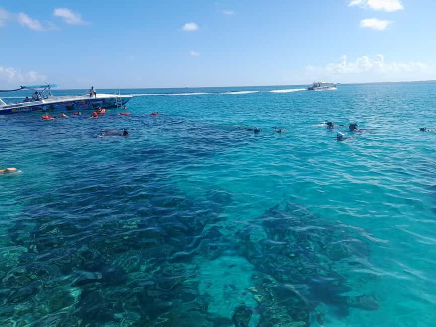 Nassau: Swimming Pigs Private Boat Tour - Up to 7 Persons - A Detailed Look at the Experience