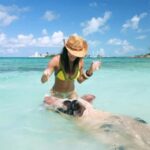 Nassau: Swimming Pigs, Snorkeling, Lunch, & Beach Boat Tour - Detailed Itinerary Breakdown
