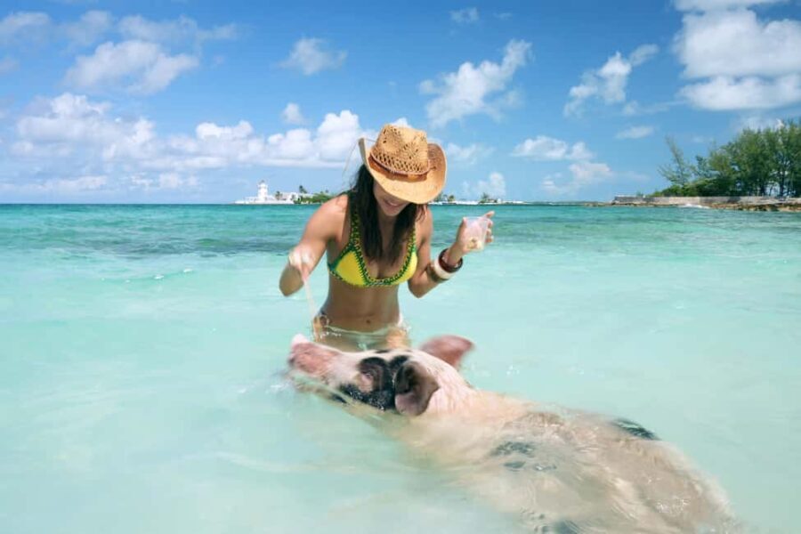 Nassau: Swimming Pigs, Snorkeling, Lunch, & Beach Boat Tour - Detailed Itinerary Breakdown