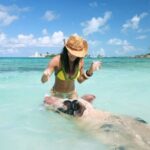 Nassau Swimming Pigs: Snorkeling, Lunch & Private Beach Club - Who Is This Tour Best For?
