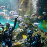 National Aquarium of New Zealand in Napier General Admission - The Itinerary Breakdown