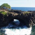 National Park Lava Cliffs and Black Sand Beach - Who Will Love This Tour?