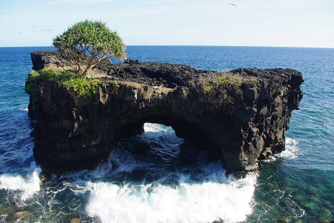 National Park Lava Cliffs and Black Sand Beach - Who Will Love This Tour?
