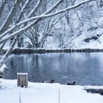 Natural Treasures of Northern Azerbaijan in 5 Days - What Makes This Tour Stand Out?