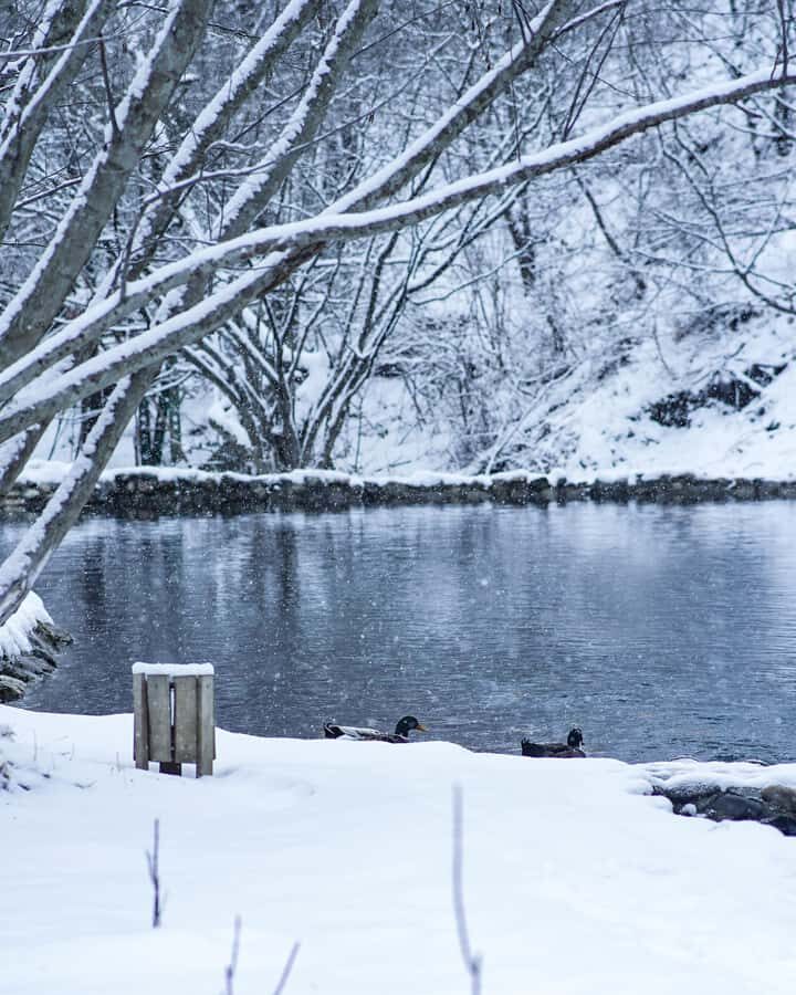 Natural Treasures of Northern Azerbaijan in 5 Days - What Makes This Tour Stand Out?