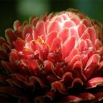 Natural Wonders of Barbados Small-Group with Harrison's Cave - Final Thoughts: Is This Tour Right for You?