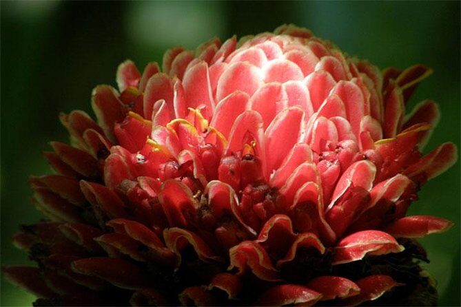 Natural Wonders of Barbados Small-Group with Harrison's Cave - Final Thoughts: Is This Tour Right for You?