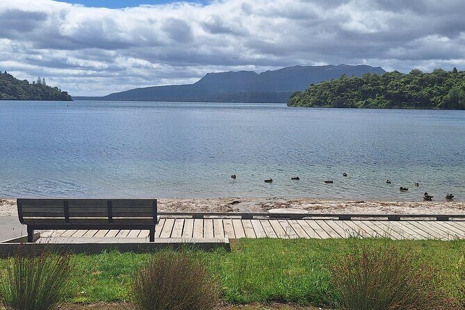 Nature at its best Lake Tarawera Treetop Walk and Forest Spas - Practical Details and What to Expect
