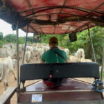 Nature tour through Battambang/Local area and landmarks - What’s Included and What to Expect