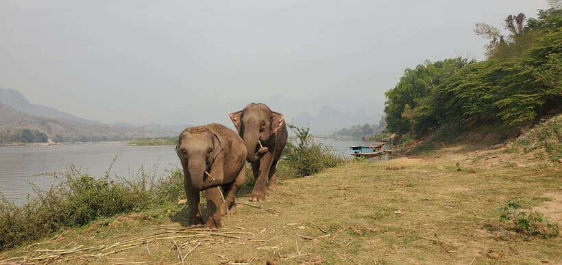 Nature wellness retreat - What Reviewers Say and Why It Matters