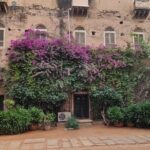 Neemrana Fort visit with Lunch From Delhi - Why This Tour Offers Great Value