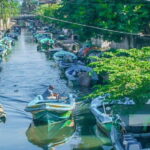 Negombo City : Explore the Fish Market & Dutch Canal by Boat - The Practicalities: What to Expect