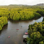 Negombo: Guided Kayaking Tour in the Lagoon - Why This Tour Is a Great Value