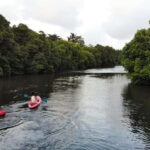 Negombo: Guided Kayaking Tour in the Lagoon - What to Expect from the Tour