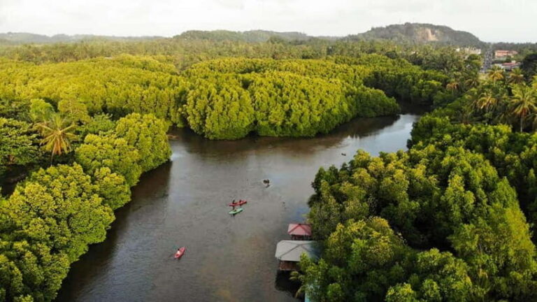 Negombo: Guided Kayaking Tour in the Lagoon - Why This Tour Is a Great Value
