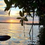 Negombo: Kayaking in the Lagoon - Who Is This Tour Best For?