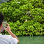 Negombo: Lagoon Boat Tour with hotel transfers & fruit snak - Why Choose This Tour?