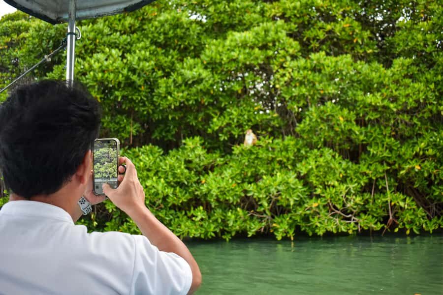 Negombo: Lagoon Boat Tour with hotel transfers & fruit snak - Why Choose This Tour?