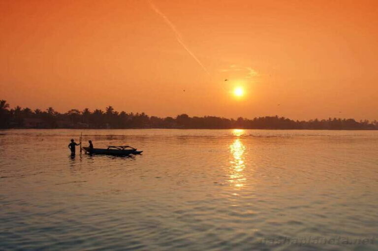 Negombo Lagoon (Mangrove ) Boat Excursion - Watching Local Fishing Life Unfold
