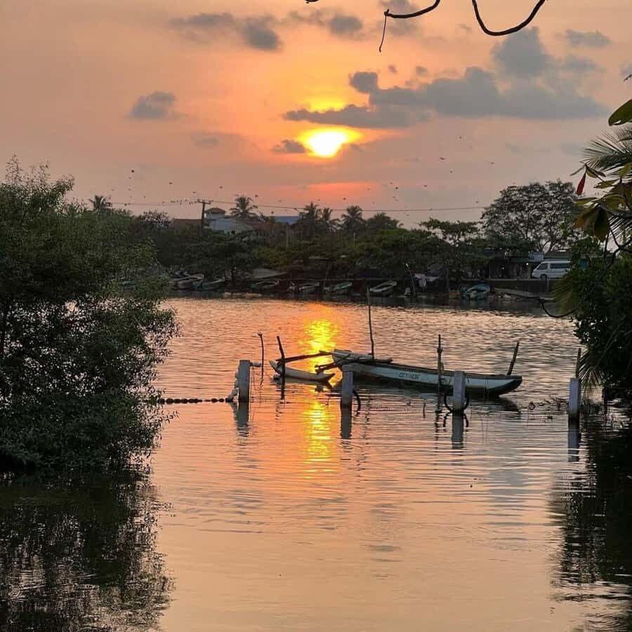 Negombo Lagoon & Muthurajawela Boat Tour - Crossing Negombo Lagoon