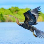 Negombo private city-Lagoon: Sunrise or Sunset Kayaking Tour - Why You’ll Love This Kayaking Tour in Negombo