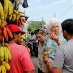 Negombo: private half day city tour with hotel transfers - The Itinerary in Detail