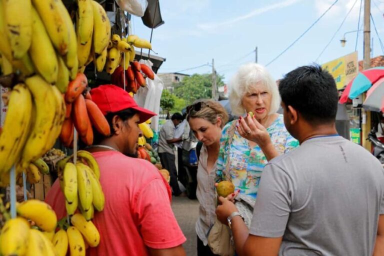 Negombo: private half day city tour with hotel transfers - The Itinerary in Detail