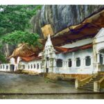 Negombo: To Sigiriya & Dambulla Private Tour with Lunch - Authentic Feedback from Travelers